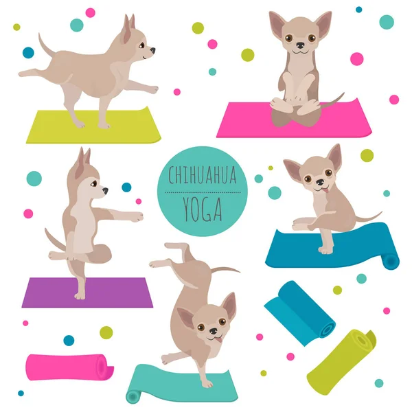 Yoga dogs poses and exercises. Chihuahua clipart — 스톡 벡터