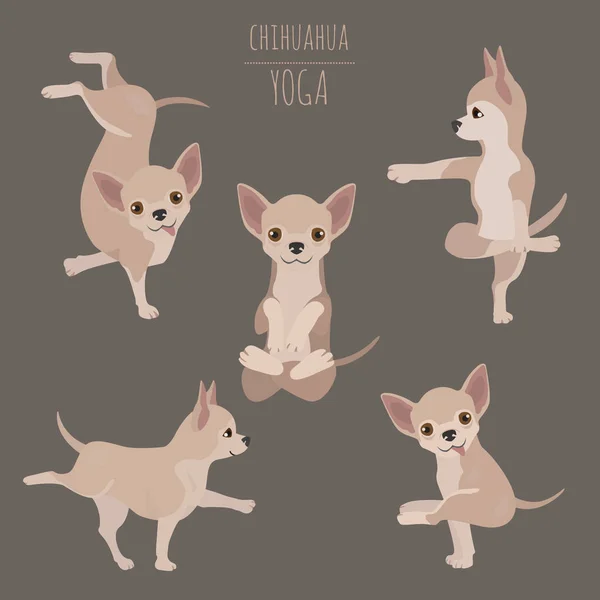 Yoga dogs poses and exercises. Chihuahua clipart — 스톡 벡터