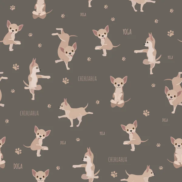 Yoga dogs poses and exercises. Chihuahua seamless pattern — Stok Vektör