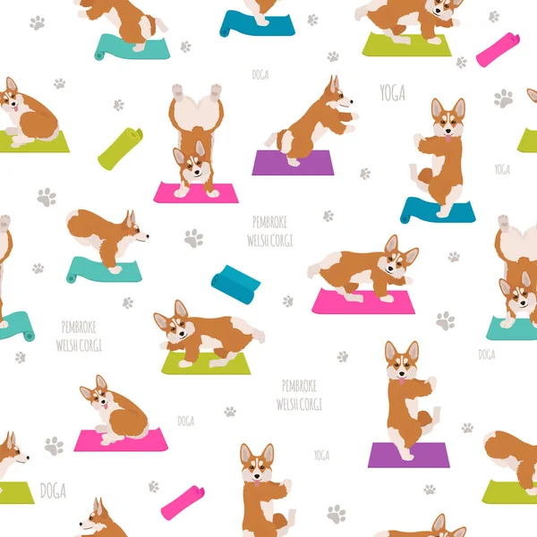 Yoga-Hunde posieren und üben. walisischer Corgi pembroke nahtlos pat — Stockvektor