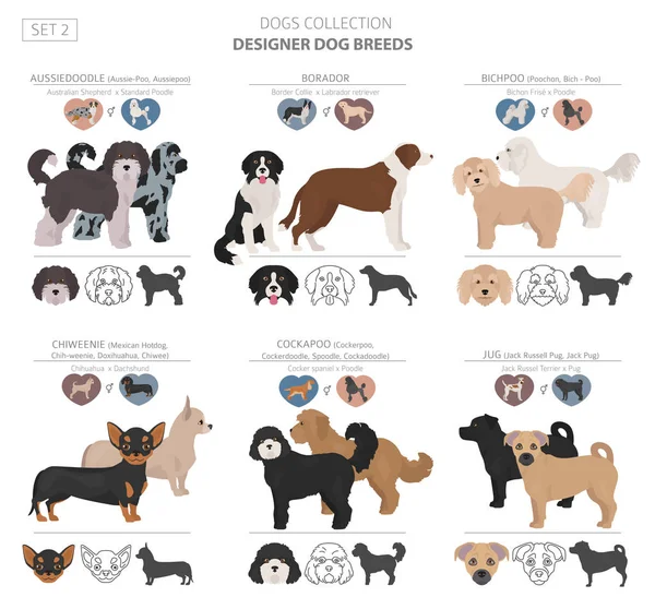 Designerhunde, Mischlingshunde, Mischlingshunde Kollektion isolieren — Stockvektor
