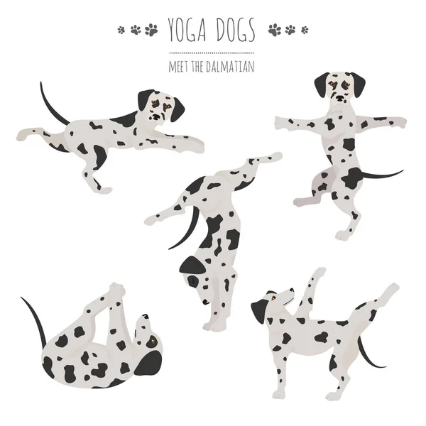 Yoga dogs poses and exercises. Dalmatian clipart — Stok Vektör