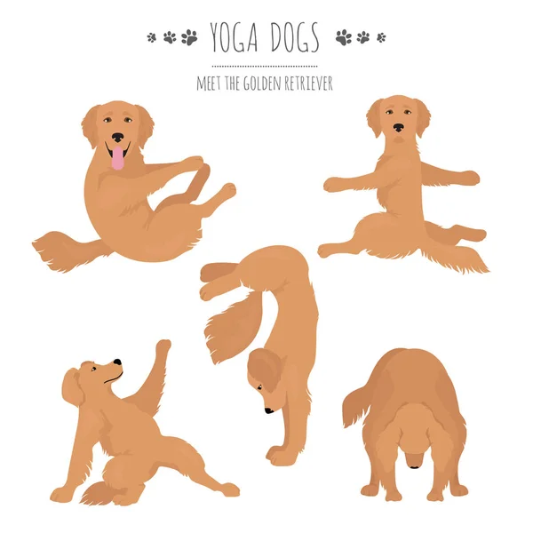 Yoga cani pose ed esercizi. Golden retriever clipart — Vettoriale Stock