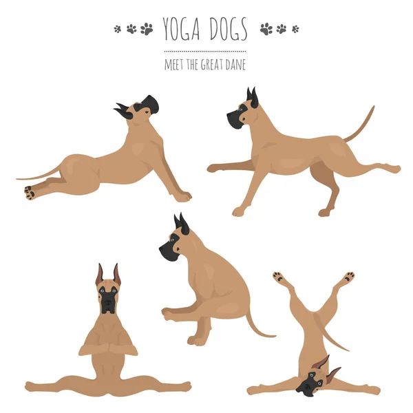 Yoga anjing pose dan latihan. Great dane clipart - Stok Vektor