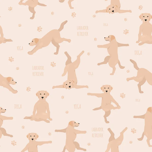 Yoga chiens pose et des exercices. Labrador retriever sans couture patte — Image vectorielle