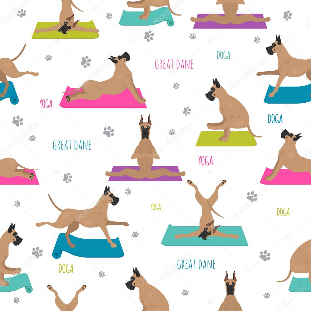 Yoga dogs poses and exercises. Great dane seamless pattern