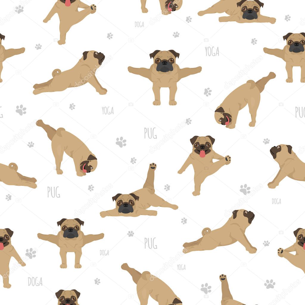 Yoga dogs poses and exercises. Pug seamless pattern