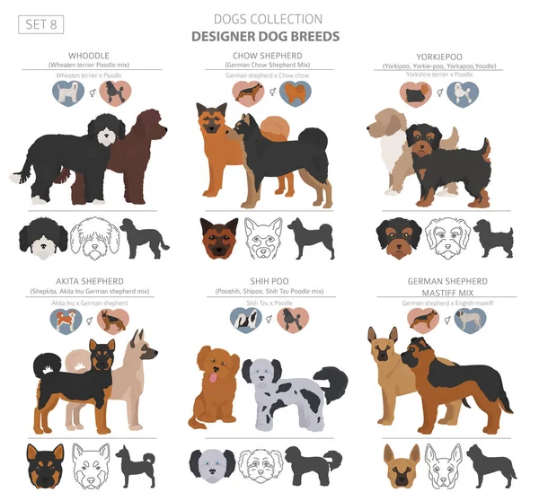 Diseñador perros, mestizo, híbrido mezcla pooches colección aislar — Archivo Imágenes Vectoriales