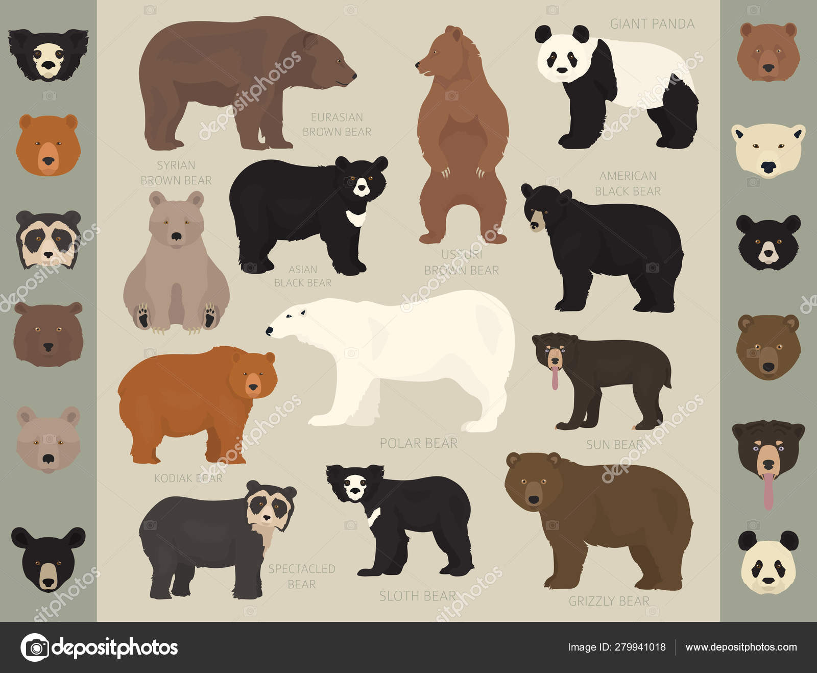 ヒマラヤ クマストックベクター ロイヤリティフリーヒマラヤ クマイラスト Depositphotos ヒマラヤ クマストックベクター ロイヤリティフリーヒマラヤ クマイラスト Depositphotos
