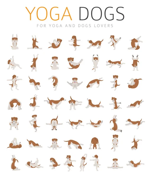 Yoga köpekleri pozlar ve egzersizleri clipart yapıyor. Komik karikatür poste — Stok Vektör