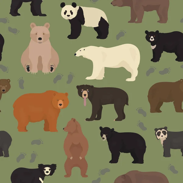 Toutes les espèces d'ours du monde en un seul ensemble. Ours motif sans couture — Image vectorielle