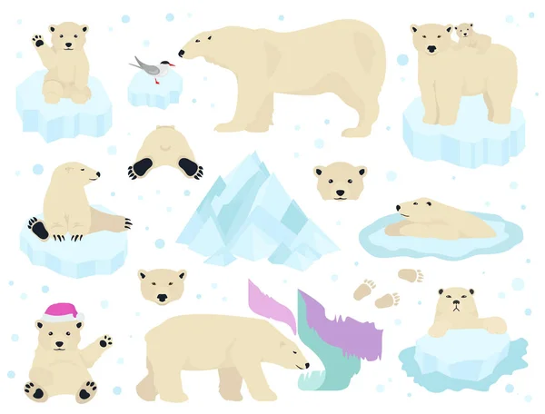 Комплект белых медведей, плюшевый мишка в Арктике — стоковый вектор