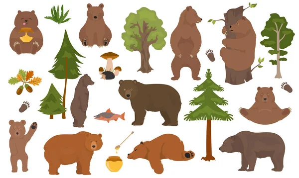 Toutes les espèces d'ours dans un ensemble. Ours dans la collection forestière — Image vectorielle