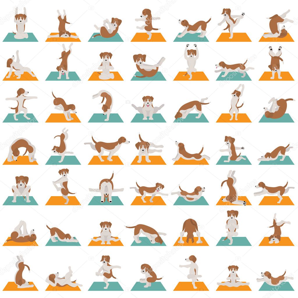 Yoga dogs poses and exercises doing clipart. Funny cartoon poste