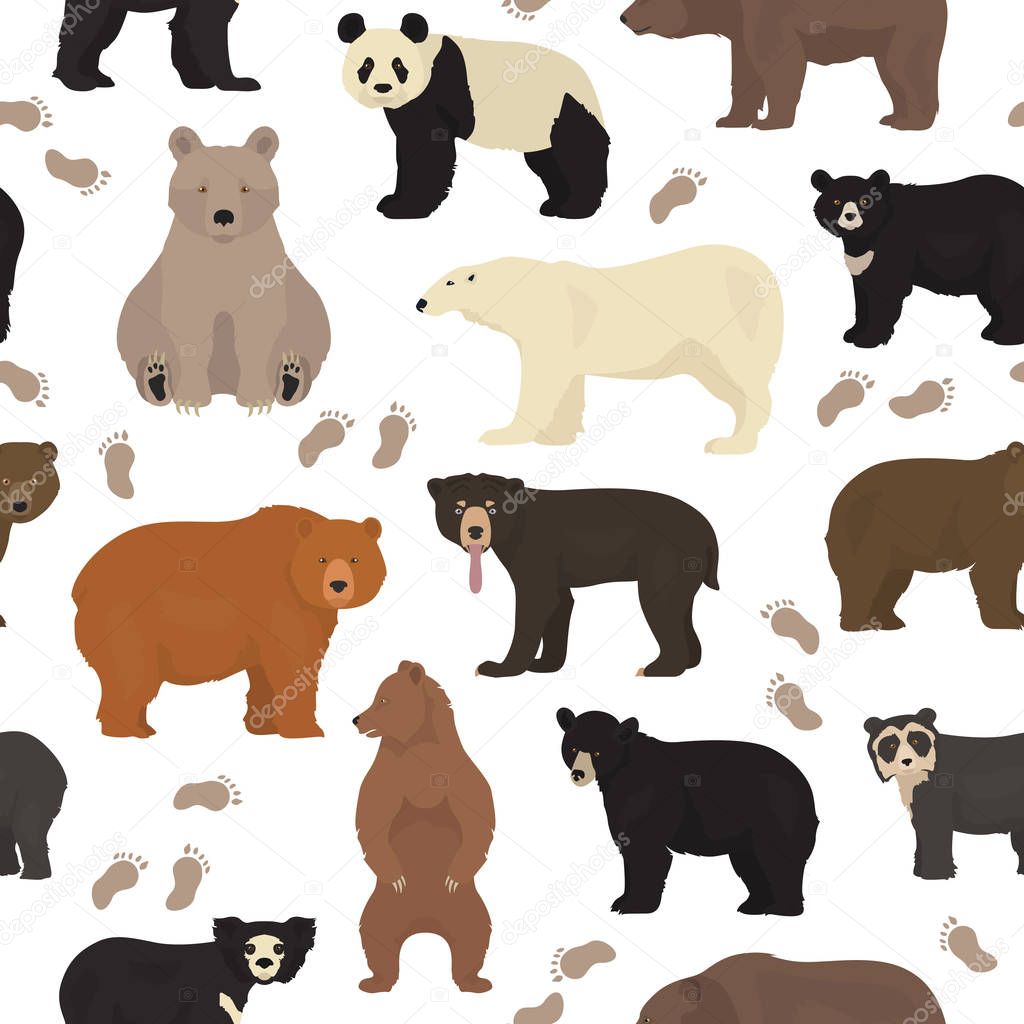 All world bear species in one set. Bears seamless pattern