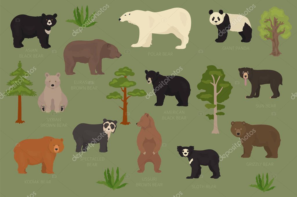 All World Bear Species In One Set Bears Collection Vector Illustration Premium Vector In Adobe Illustrator Ai Ai Format Encapsulated Postscript Eps Eps Format All World Bear Species In One Set Bears Collection Vector Illustration Premium Vector In Adobe Illustrator Ai Ai Format Encapsulated Postscript Eps Eps Format