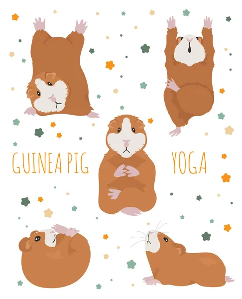 Posturas y ejercicios de yoga de cobaya. Bonito dibujo animado sin costura patte — Vector de stock