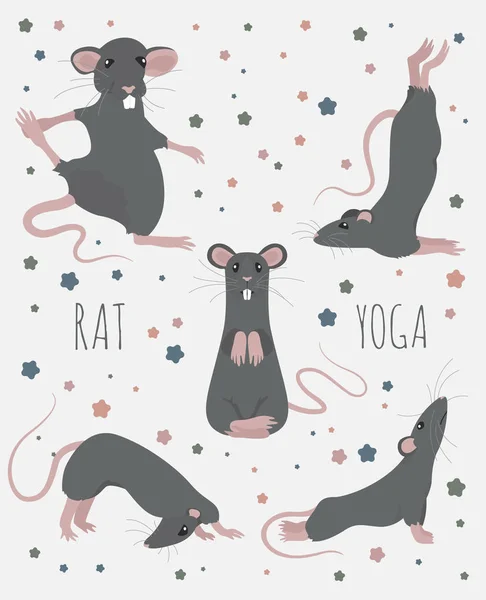 Позы и упражнения для йоги крыс. Симпатичный набор мультфильмов — стоковый вектор