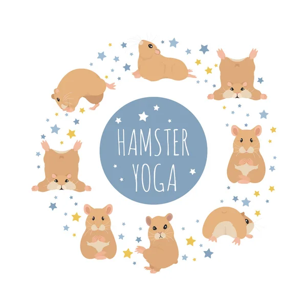 Hamster Yoga-Posen und Übungen. Niedliche Cartoon Cliparts Set — Stockvektor