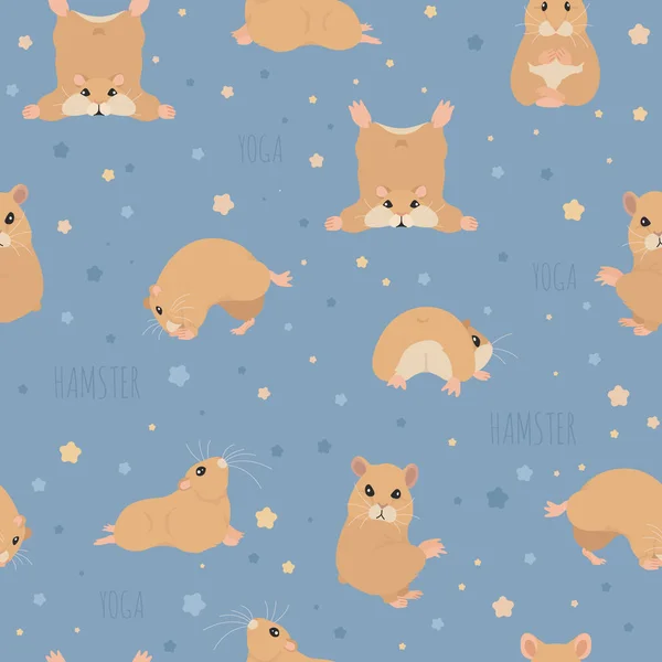 Hamster Yoga-Posen und Übungen. Niedliche Cartoon nahtlose Muster — Stockvektor
