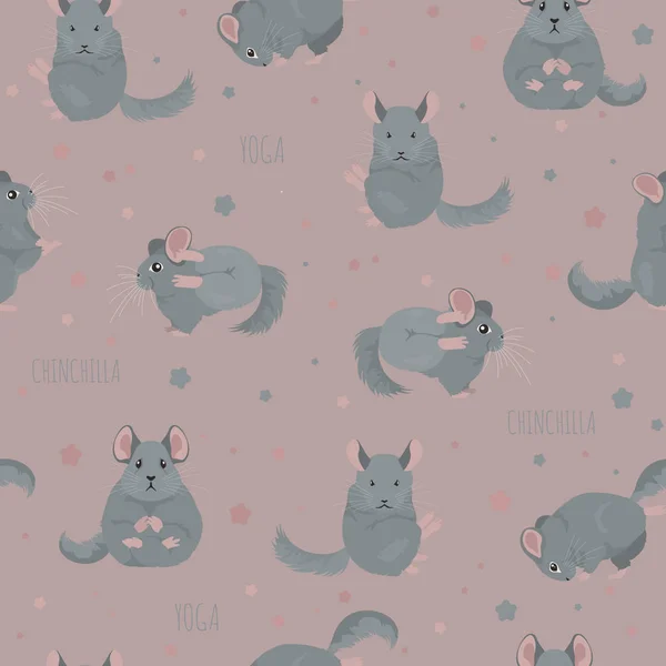 Chinchilla yoga poses et exercices. Mignon dessin animé sans couture patte — Image vectorielle