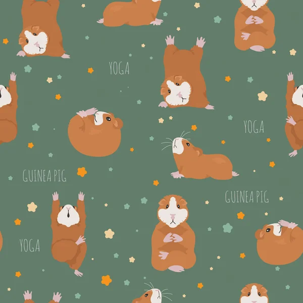 16 Guinea pig yoga Vector Images, Guinea pig yoga Illustrations