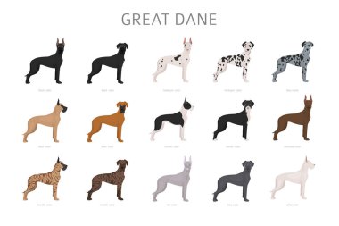 Harika dane. Kat renkli köpek seti farklı farklılıklar