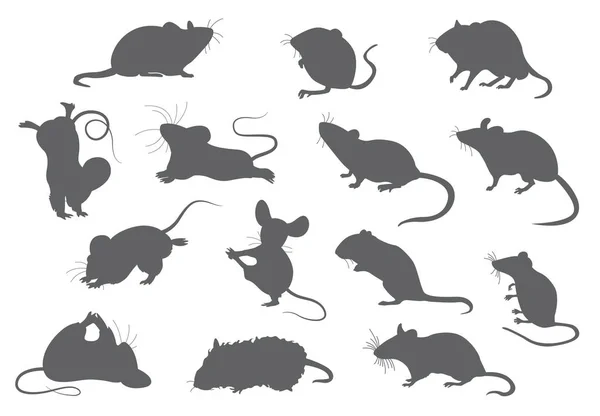 Farklı fareler. Fare yogası pozları ve egzersizleri. Sevimli karikatür cli — Stok Vektör