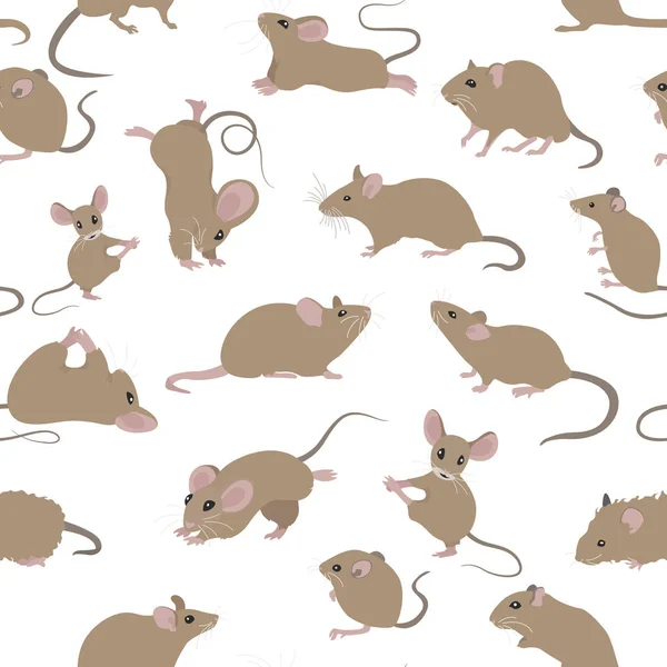 Mäuse nahtlose Muster. Maus Yoga Posen und Übungen. Niedliche Karre — Stockvektor