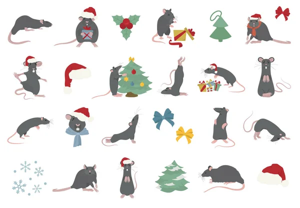 Różne szczury Christmas Collection. Szczury stwarza i ćwiczenia. Cu — Wektor stockowy