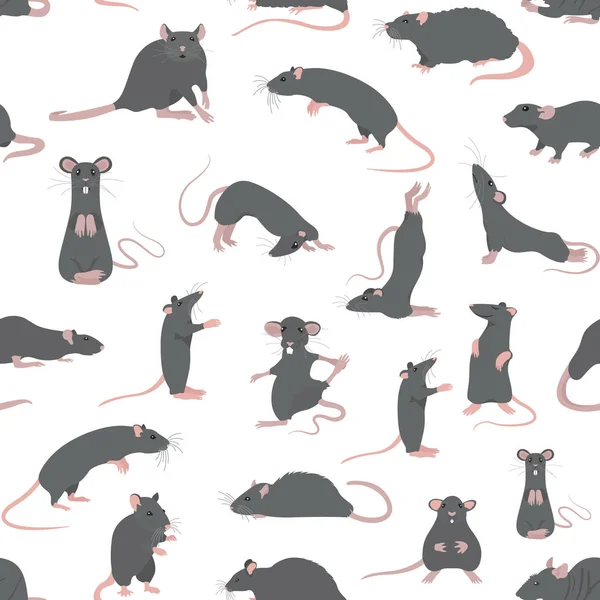 Fareler insadansı. Fare pozları ve egzersizleri. Sevimli karikatür cli