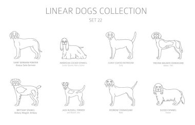 Simple line dogs collection isolated on white. Dog breeds. Flat  clipart