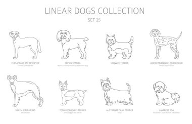 Simple line dogs collection isolated on white. Dog breeds. Flat  clipart