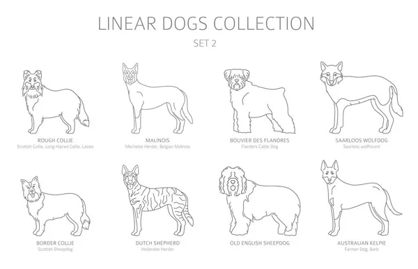 Linea semplice collezione cani isolato su bianco. Razze di cani. Piatto — Vettoriale Stock