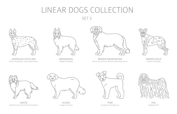 Sencilla colección de perros de línea aislada en blanco. Razas de perros. Plano — Vector de stock