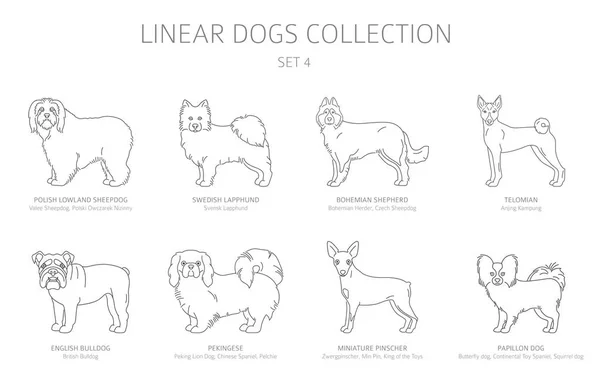 Collection de chiens de ligne simple isolé sur blanc. Des races de chiens. Plat — Image vectorielle