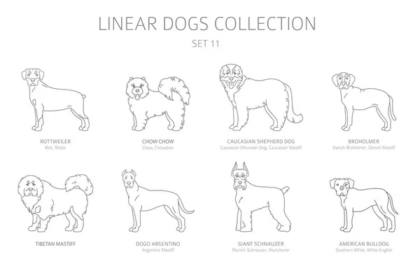 Sencilla colección de perros de línea aislada en blanco. Razas de perros. Plano — Vector de stock
