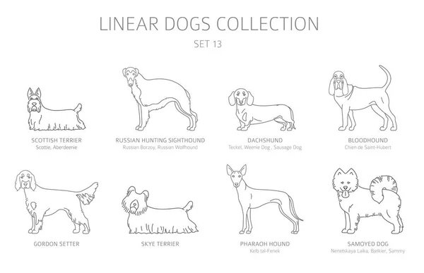 Sencilla colección de perros de línea aislada en blanco. Razas de perros. Plano — Vector de stock