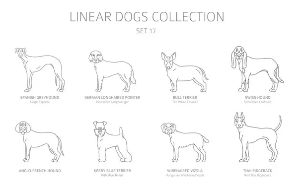 Einfache Linie Hunde Sammlung isoliert auf weiß. Hunderassen. flach — Stockvektor