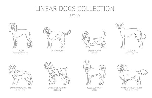 Простая коллекция собак изолирована на белом. Породы собак. Плоская квартира
 