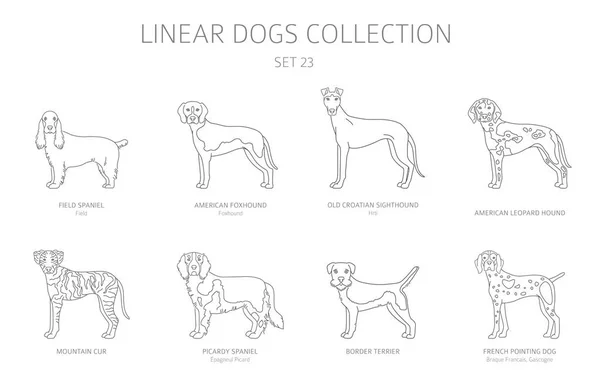 Simple line dogs collection isolated on white. Dog breeds. Flat — Stock Vector