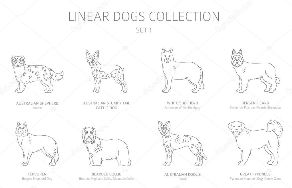Simple line dogs collection isolated on white. Dog breeds. Flat 