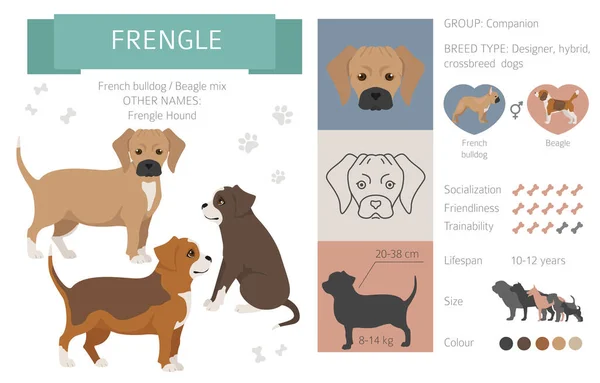 Designer Honden Kruising Hybride Mix Pooches Collectie Geïsoleerd Wit Frengle — Stockvector