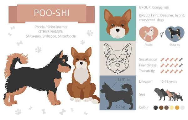 Designer Honden Kruising Hybride Mix Pooches Collectie Geïsoleerd Wit Poo — Stockvector
