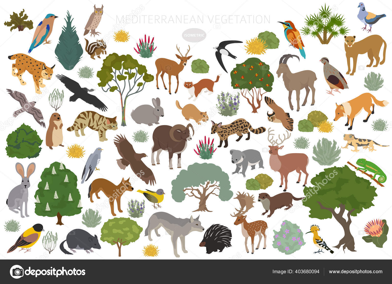 Mediterranean Vegetation Biome Natural Region Infographic Terrestrial  Ecosystem World Map Stock Vector Image by ©A7880S #403680094