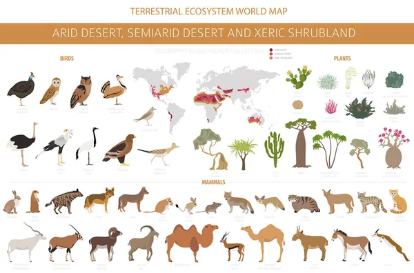 Bioma Del Desierto Xeric Shrubland Natural Region Infographic Mapa Mundial — Vector de stock