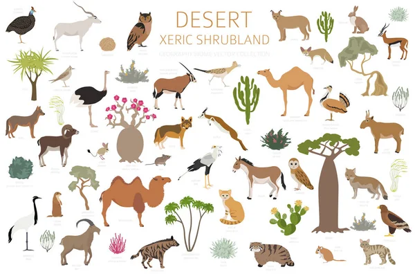 Bioma Del Desierto Xeric Shrubland Natural Region Infographic Mapa Mundial — Vector de stock