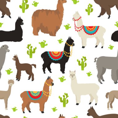 Camelids aile koleksiyonu. Alpaka grafik tasarımı. Vektör illüstrasyonu