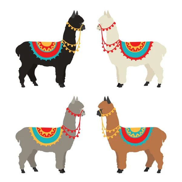 Camelids Familie Collectie Alpaca Grafisch Ontwerp Vectorillustratie — Stockvector
