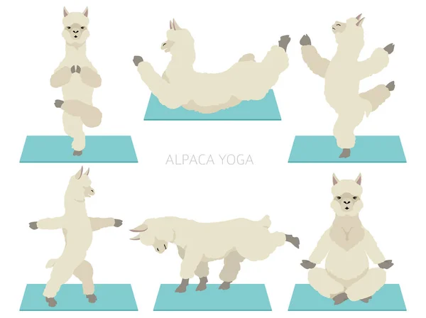Collection Familiale Camélidés Conception Graphique Yoga Alpaga Illustration Vectorielle — Image vectorielle